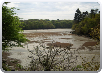 Zicht op Lac de Pareloup2