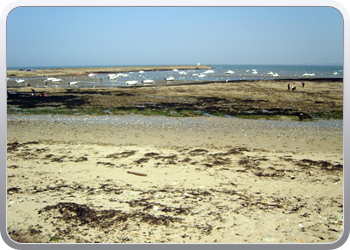 langs_de_normandische_kust