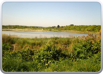 normandie1