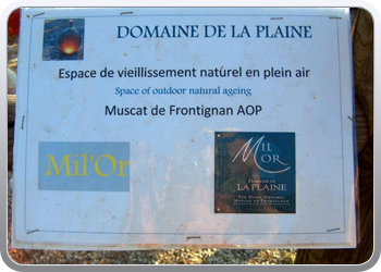 domaine_de_la_plaine