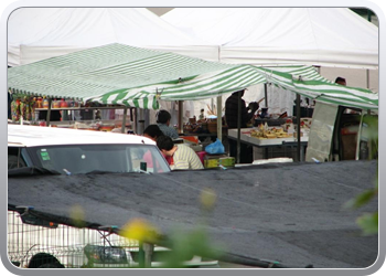 199_markt_van_nerja