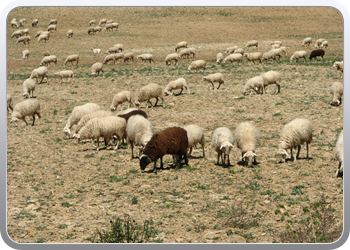 628 Op weg naar Santa Cruz de la Sesos