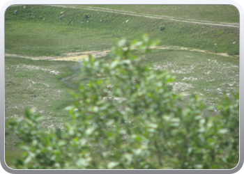 308 Col De Mont Cenis