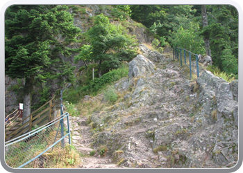 601 Col de la Schlucht