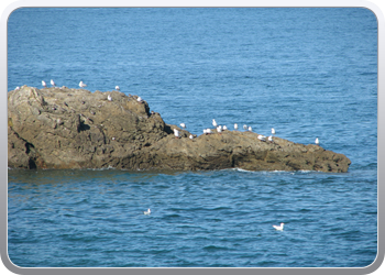 086 Saint Malo (29)