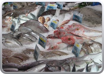 061 Een viswinkel in Le Guilvinec (1)