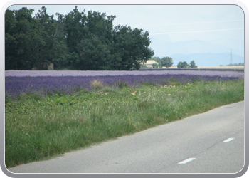 164 op weg naar Sts Croix du Verdon