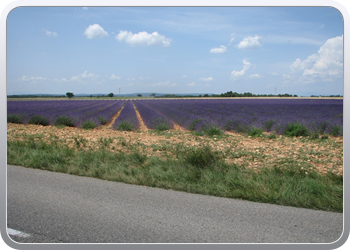 167 op weg naar Sts Croix du Verdon