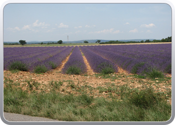 168 op weg naar Sts Croix du Verdon