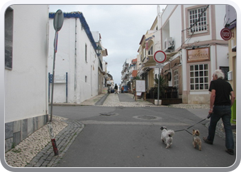 496 Alvor (14)