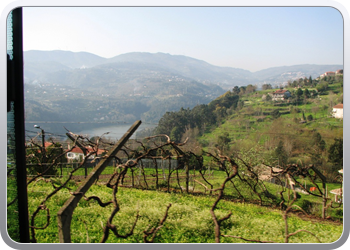 694  Langs de Douro