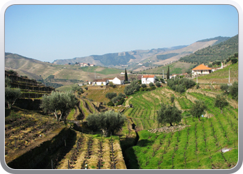 724  De Douro valle