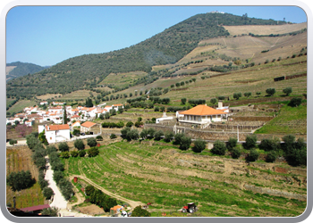 725  De Douro valle