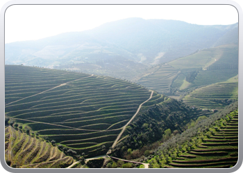 726  De Douro valle