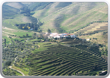 727  De Douro valle