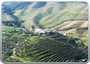 728  De Douro valle