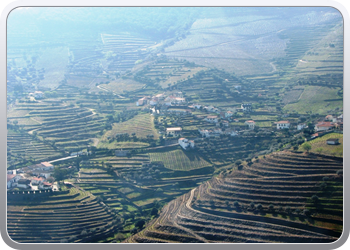 729  De Douro valle