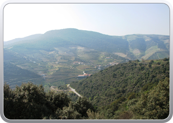 731  De Douro valle