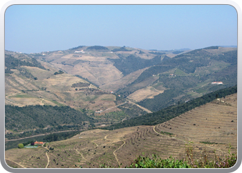 734  De Douro valle