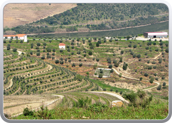 739  De Douro valle