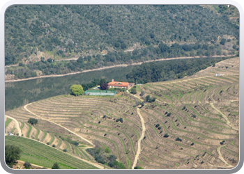 740  De Douro valle