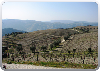 742  De Douro valle