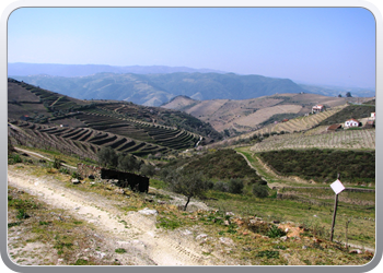 745  De Douro valle