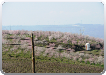 748  De Douro valle