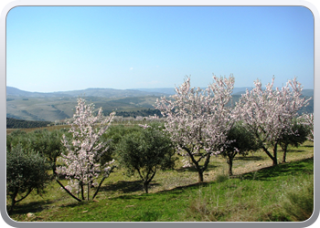 749  De Douro valle