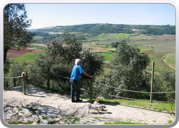 Obidos38