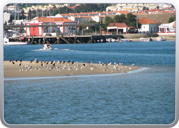 273 Vakantie eiland voor Tavira