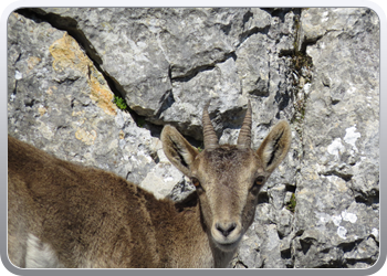 028 Torcal de Antequera (103)