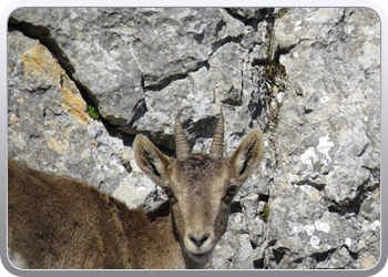 028 Torcal de Antequera (104)