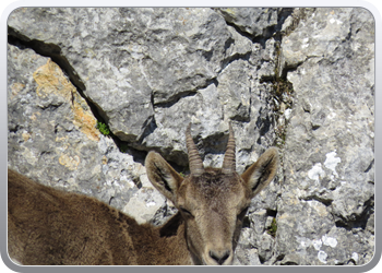 028 Torcal de Antequera (105)