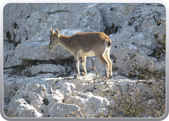 028 Torcal de Antequera (106)