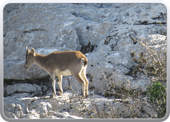 028 Torcal de Antequera (107)