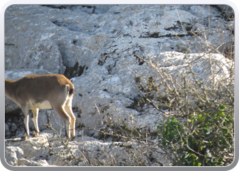 028 Torcal de Antequera (108)