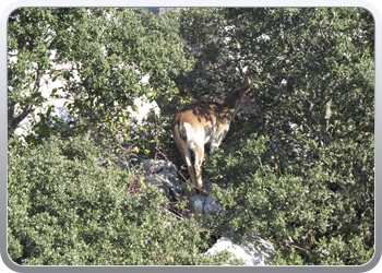 028 Torcal de Antequera (113)