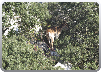 028 Torcal de Antequera (114)