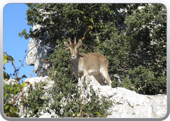 028 Torcal de Antequera (119)