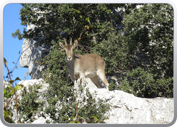 028 Torcal de Antequera (121)