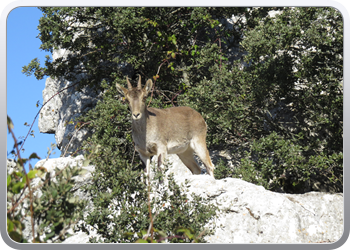 028 Torcal de Antequera (122)