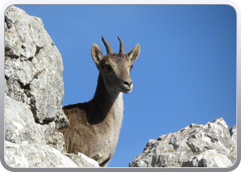 028 Torcal de Antequera (123)