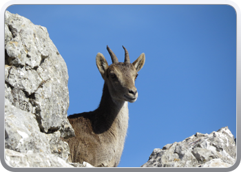 028 Torcal de Antequera (124)