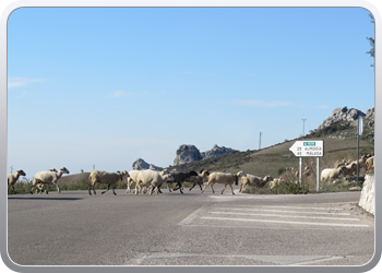 028 Torcal de Antequera (13)