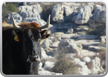 028 Torcal de Antequera (32)