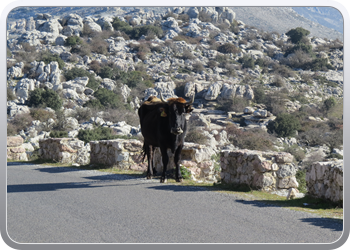 028 Torcal de Antequera (33)