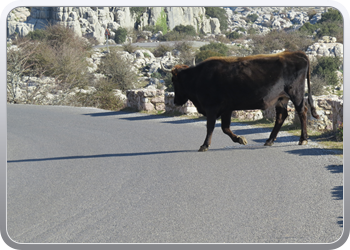 028 Torcal de Antequera (34)