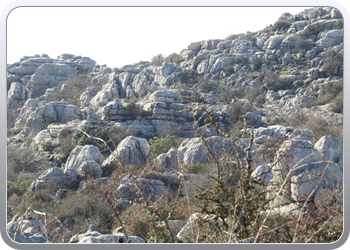 028 Torcal de Antequera (37)