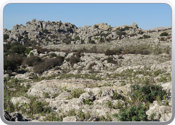 028 Torcal de Antequera (38)